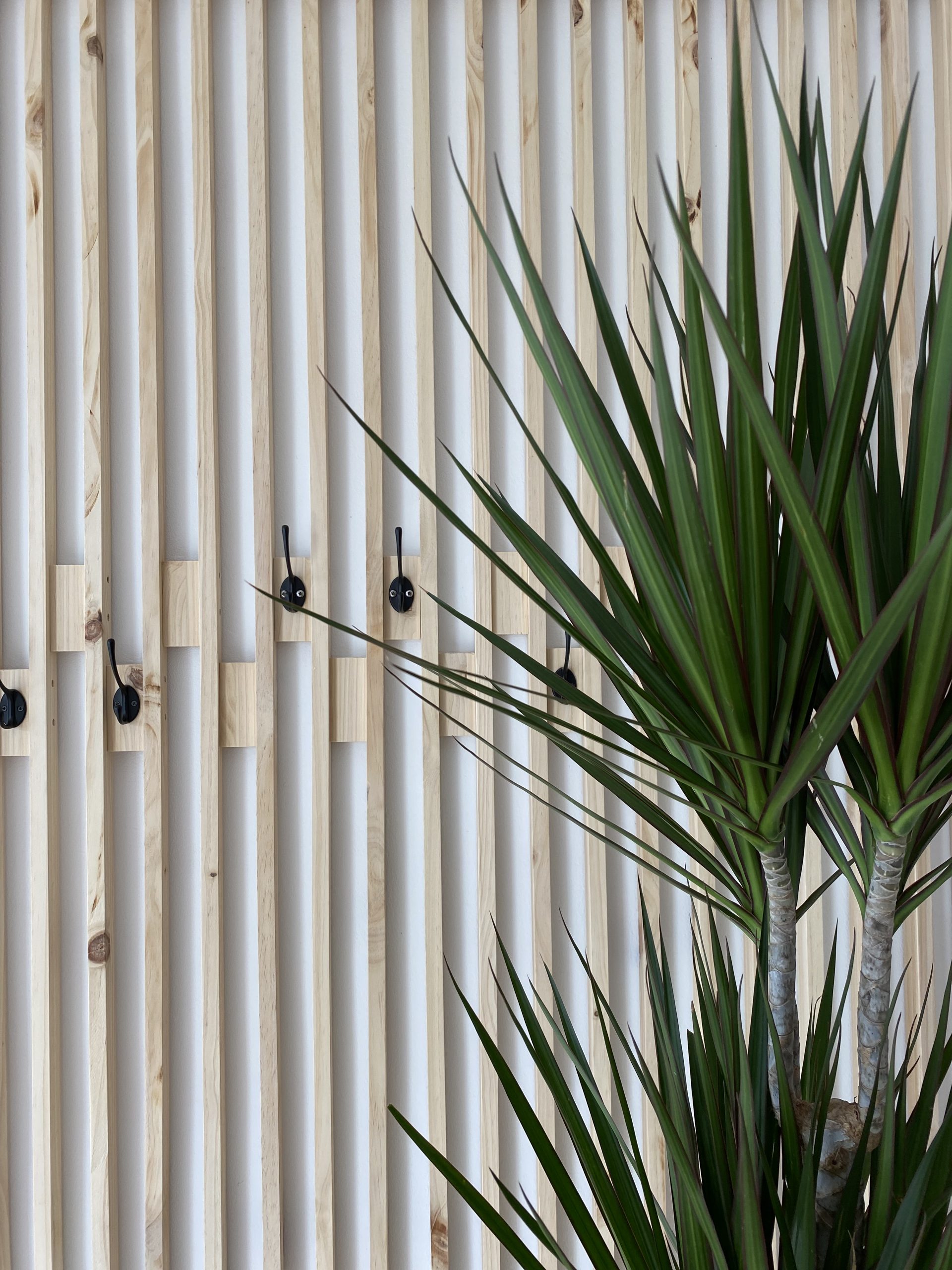 Planta1